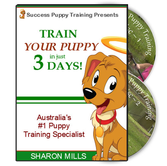 Puppy Training DVD
