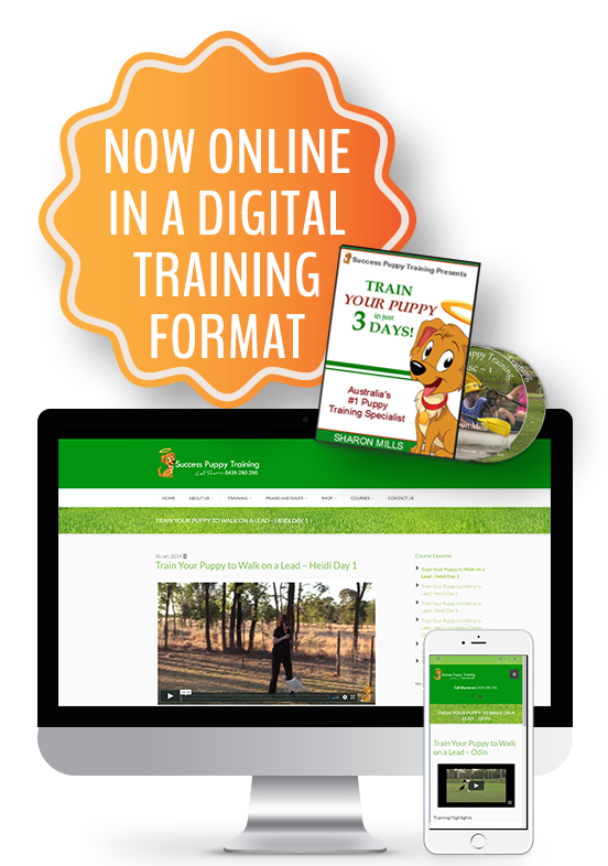 Puppy Training online course